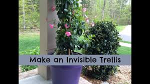 Now you can shop for it and enjoy a good deal on aliexpress! Make An Invisible Trellis For A Climbing Plant Youtube