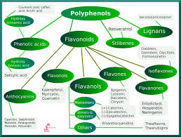 Plant Extracts 101 Part V Phytochemicals In Cosmetics
