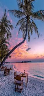 Ocean, sky, coast, 5k, palm, beach, seychelles, maldives, water. Best Nature Landscape Iphone X Wallpapers Free Hd