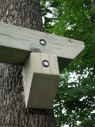 Expert advice and top rated customer service. 1000 Ideas About Tree Swings On Pinterest Garden Swings Outdoor Chairs And Outdoor Ideas Tree House Diy Swing Set Diy Tree House Plans