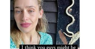 Gloria Quinn: Stupid World 2