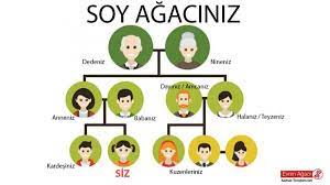 Soy Agaclari Ve Evrim Agaclari Evrimi Anlamanin Ve Anlatmanin En Kolay Yolu Evrim Agaci