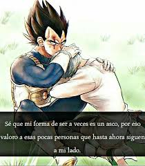 Pin De Esteban Fernandez En Amar Vegeta Y Bulma Frases Goku Frases De Amor Anime