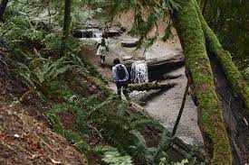 View the about page to learn more about us. What If Seattle Became A Place Where Trees And Humans Grow Old By Tamara Power Drutis Linkedin