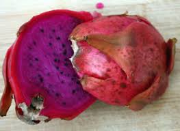 Companion planting doesn't just give you higher yields, it also saves on space & helps with pest control. How To Get Your Dragon Fruit Cactus To Fruit Tastylandscapetastylandscape