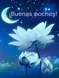 Pin De Felix En Frase De Buenas Noches En 2021 Pensamientos Buenas Noches Saludos De Buenas Noches Frases Lindas De Buenas Noches