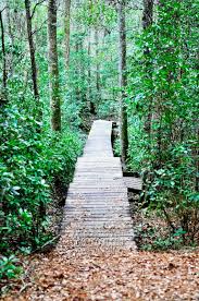 Boat tours in spanish fort. Pin By Sarah Williams On Oh The Scenery State Parks Alabama Outdoors Spanish Fort