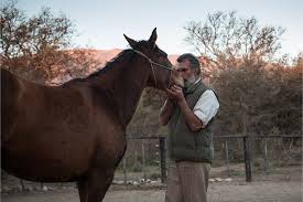 We are the larger blanket factory in argentina since 1970. The Horse Whisperers Of Argentina Bbc News