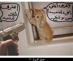 ابوذيات مضحكه ~ ù†ùƒøª ø¹ø±ø§ù‚ùšø© ù…ø¶øùƒø© free android app appbrain.… فيديوهات مضحكة 2020 أشخاص يقومون بأشياء غبية p111 mp3. ØµÙˆØ± Ù…Ø¶Ø­ÙƒÙ‡ Ù…Ø¯ÙˆÙ†Ø© Ø¹Ø¯ÙŠÙ„ Ø§Ù„Ø±ÙˆØ­