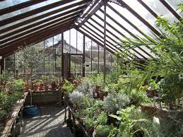 Chelsea Physic Garden