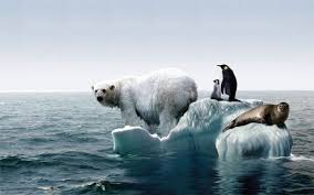 Nu e ușor de acceptat ideea că societatea bazată pe utilizarea cărbunilor, petrolului şi gazelor naturale e de vină pentru încălzirea globală, care anunţă efecte dezastruoase din cauza schimbărilor climatice. Incalzirea Globala Apocalipsa Terei About Facebook