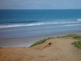 Carlsbad Beaches South State Beach Carlsbad Beach Beach Carlsbad State Beach