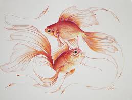 Sagaku By William Love Fish Art Gold Fish Painting Watercolor Fish