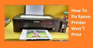 Epson Printer Not Printing Epson Printer Epson Printer