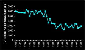 Penguinscience Understanding Penguin Response To Climate