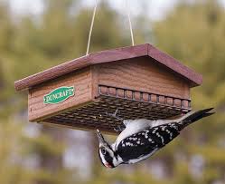 Bird Feeders For Small Birds Tips On How To Keep Starlings And Grackles Out Of Your Birdfeeders Diy Bird Feeder Bird Feeders Backyard Birds