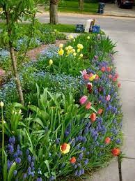 Garden Idea Along Driveway Includes Types Of Flowers To Plant Spring Bulbs Garden Bulbs Garden Design Small Flower Gardens