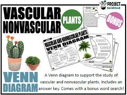 Some examples of vascular plants are duckweed,cacti,giant redwood trees,ferns,conifers,flowering plants, etc. Vascular And Nonvascular Plants Venn Diagram Teaching Resources