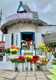 Maybe you would like to learn more about one of these? Meet Hilary Bateman Owner Little House Of Flowers Shoutout Socal