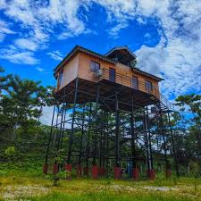 Sisamara River View Forest Villa Jaldapara Resort  (@sisamarariverview_jaldapara) • Instagram photos and videos