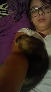 Baby Alvin ,this morning , getting is treats sitting in my lap