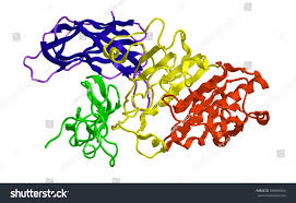 Image result for Lipase