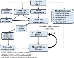 pathophysiology of hypertension hursts the heart 14e