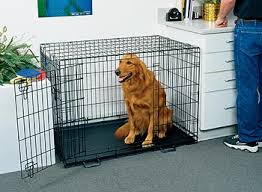 Life Stages Dog Crate Life Stages Crate Midwest Life