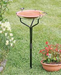 Check spelling or type a new query. Classic Bird Bath