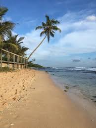 • you don't understand something? Beach Picture Of Imagine Villa Hotel Kamburugamuwa Tripadvisor