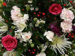 This is a flower that has a bloom that is. Beautiful Flowers Of Different Types 1600x1200 Wallpaper Teahub Io