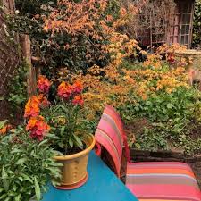 Make the most of your garden all year round with dunelm's large range of garden furniture sets. London Cottage Garden Garden Furniture Archives London Cottage Garden Gardening Blog
