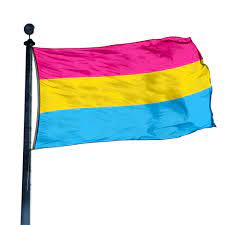 The most common pansexual pride flag material is metal. Pansexual Pride Flag 3 Ft X 5 Ft Flagandbanner
