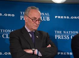 According to linkedin, jessica is the executive director for friends of the. Chuck Schumer S Tech Friendly Ties City State Ny