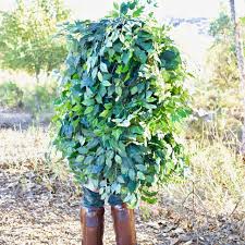 Updated on february 22, 2010. Fortnite Bush Costume Diy One Of The Coolest Fortnite Costumes