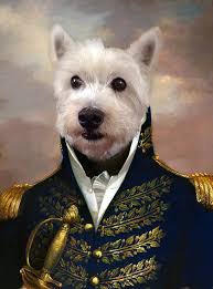 Check spelling or type a new query. Renaissance Pet Portrait By Astrid Brisson Notonthehighstreet Com