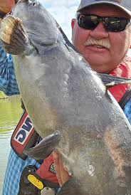 Fishing at Shalimar Bridge with Crappie Jigs