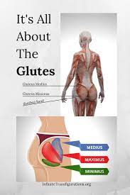 For that reason alone, it's almost your duty to train that booty. Glute Exercise Breakdown Infinite Transfigurations