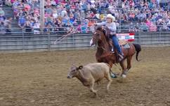 Monday Night "Chute-Out" Rodeo - 2026