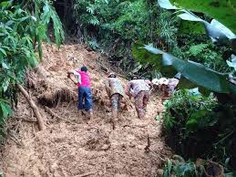 The victims, believed to be farm workers, were sleeping in a shed when the landslide occurred, said cameron highlands police chief deputy superintendent. Landslide At Cameron Highlands 2014 Faraminnie