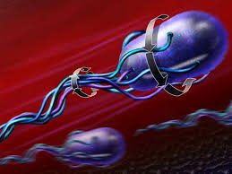 How E Coli Move Science News Medical Tech Nanotechnology Cancer