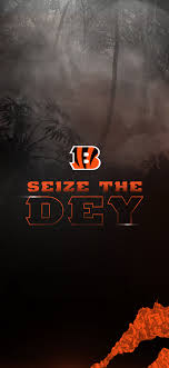 Bengals Wallpaper Hd 1125x2436 Download Hd Wallpaper Wallpapertip Все 3d 60 избранных абстракция аниме арт вектор города еда животные космос любовь макро машины минимализм мотоциклы музыка праздники природа разное слова смайлы спорт. bengals wallpaper hd 1125x2436