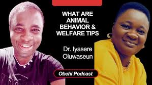 Vernon Burton talks about Critical race theory and the United State's  justice system