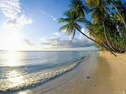 170 likes · 1 talking about this. Praia Da Taiba Fortaleza Ce Brasil Bild Von Fortaleza Bundesstaat Ceara Tripadvisor