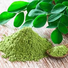 Image result for Moringa oleifera