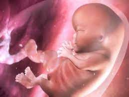 Embarazo Semanas 1 9 Video Babycenter En Espanol Youtube