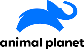 Animal Planet Logo Png Image Planet Logo Animal Planet Pet Logo Design