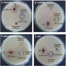 Ferrite nanoparticles in food technology