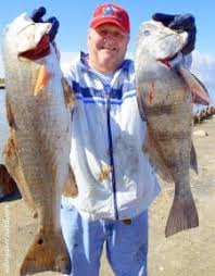 We did not find results for: Red Drum Vs Black Drum Crystal Beach Local News Get The Latest Scoop On Bolivar Peninsula Texas Resort Community On The Gulf Of Mexico