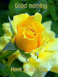 Winking bearded man in bed. Good Morning Monday Pretty Flowers Yellow Flowers Yellow Roses